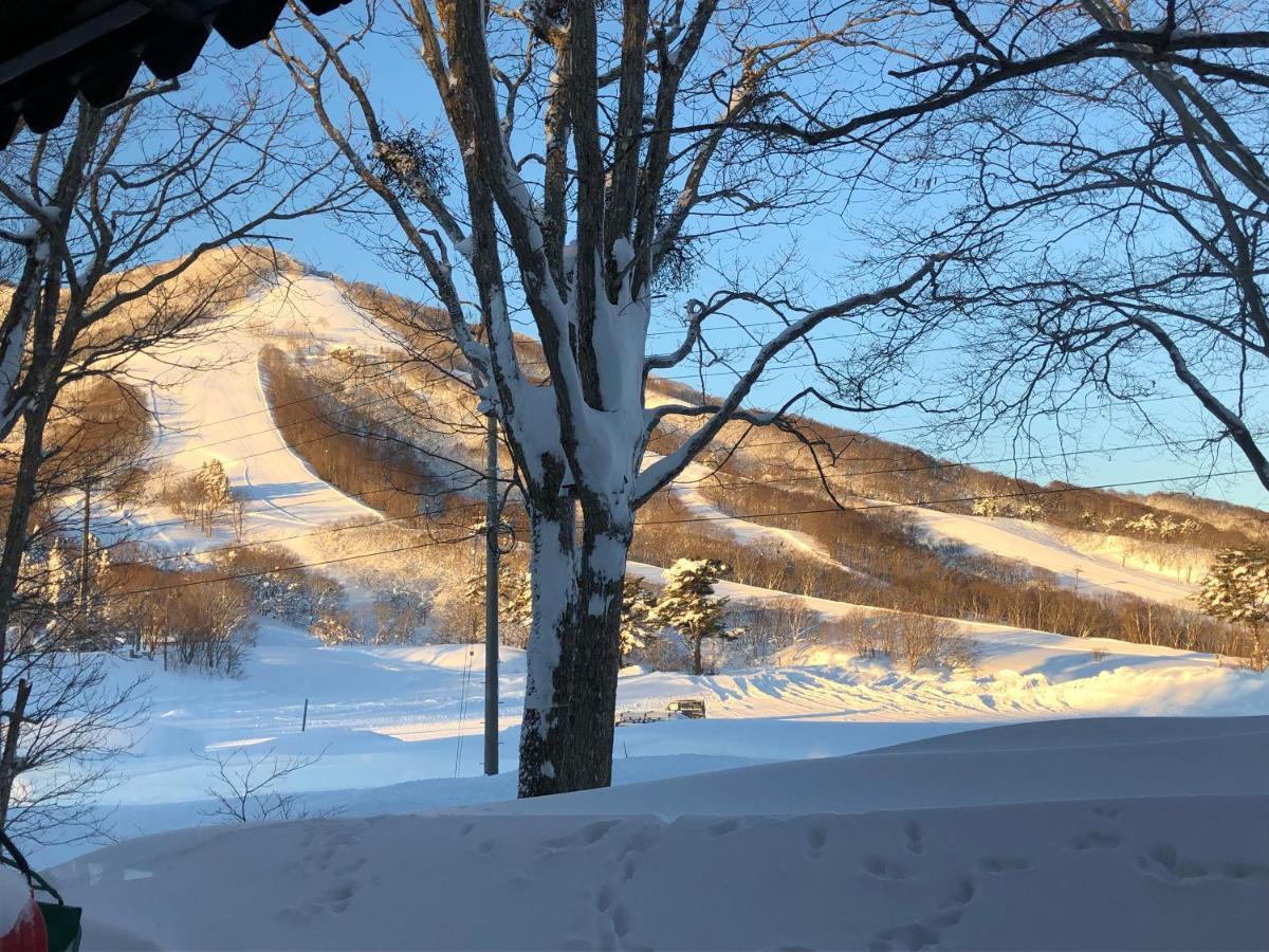 Alp Bach Madarao Villa Iiyama Екстериор снимка