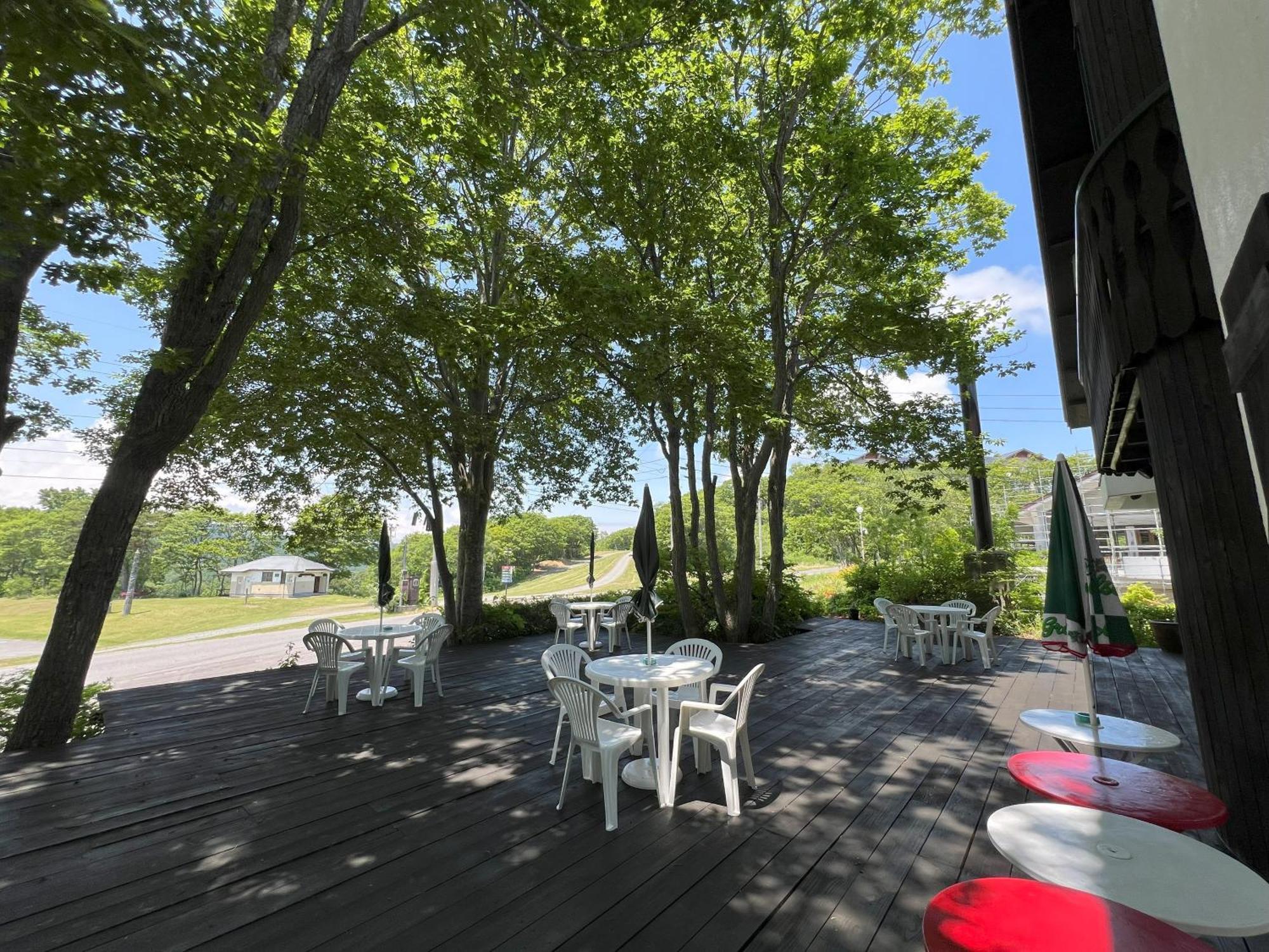 Alp Bach Madarao Villa Iiyama Екстериор снимка