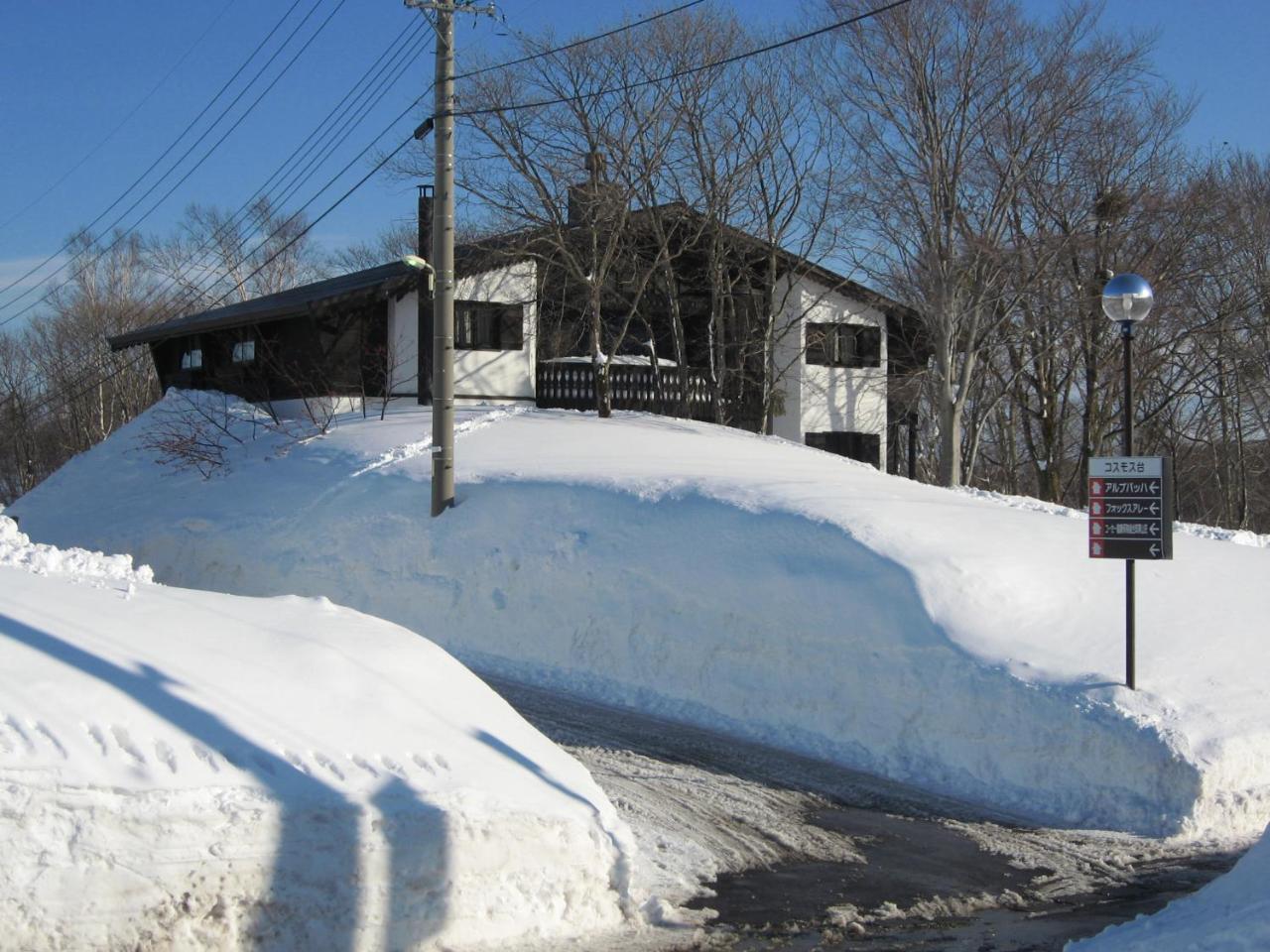 Alp Bach Madarao Villa Iiyama Екстериор снимка