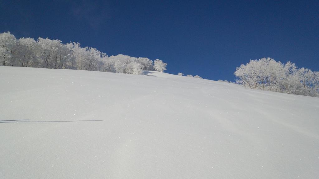 Alp Bach Madarao Villa Iiyama Екстериор снимка